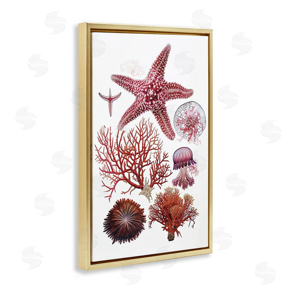 Stupell Industries Ramona Murdock | Rosy Undersea Creatures