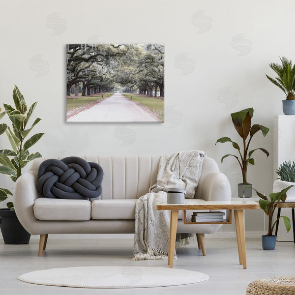 Stupell Industries Ramona Murdock | Tree Grove Path Photography Wall Art