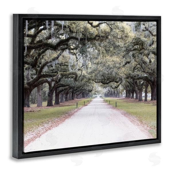 Stupell Industries Ramona Murdock | Tree Grove Path Photography Wall Art