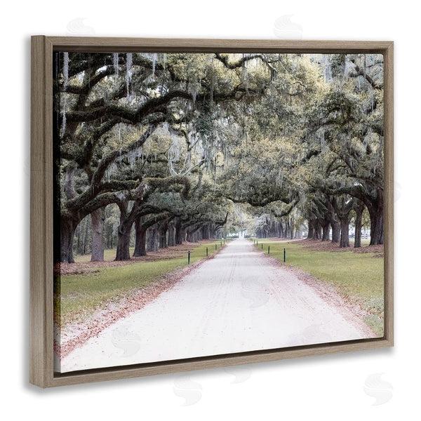 Stupell Industries Ramona Murdock | Tree Grove Path Photography Wall Art
