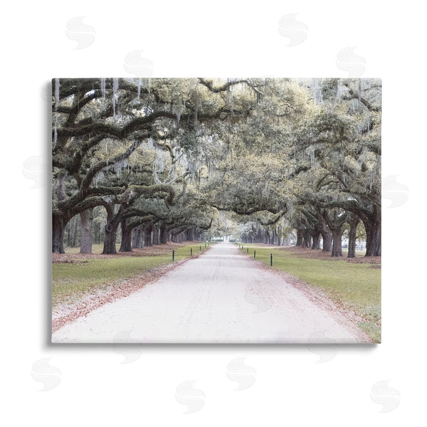 stupell industries Ramona Murdock | Tree Grove Path Photography Wall Art
