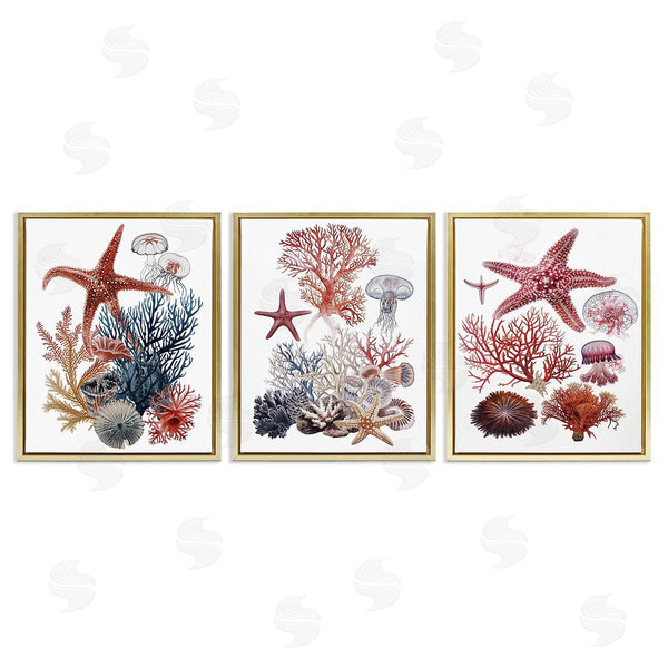 Stupell Industries Ramona Murdock | Undersea Creatures With Coral Wall Art
