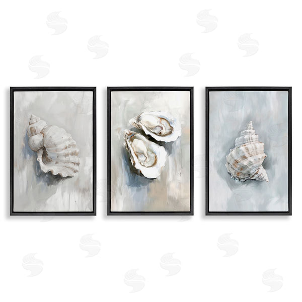 Stupell Industries Ramona Murdock | Various Seashell Mirages