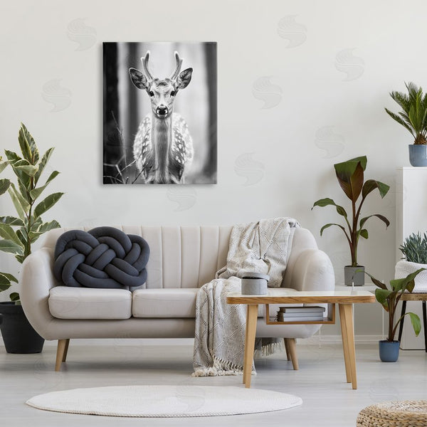 Stupell Industries Ray Powers | Baby Fawn Photography Wall Art