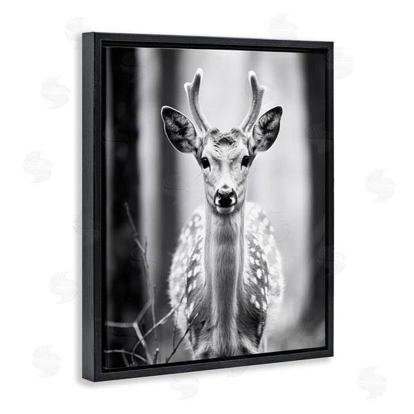 Stupell Industries Ray Powers | Baby Fawn Photography Wall Art