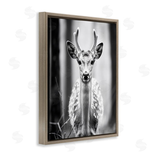 Stupell Industries Ray Powers | Baby Fawn Photography Wall Art