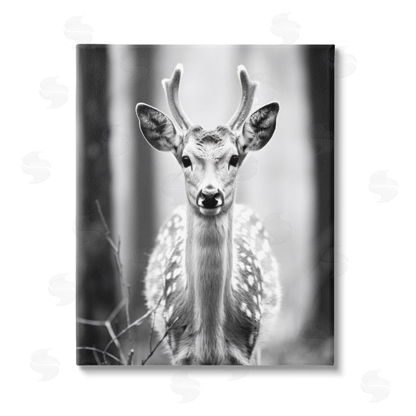 stupell industries Ray Powers | Baby Fawn Photography Wall Art