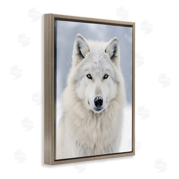 Stupell Industries Ray Powers | White Wolf In Snow Wall Art
