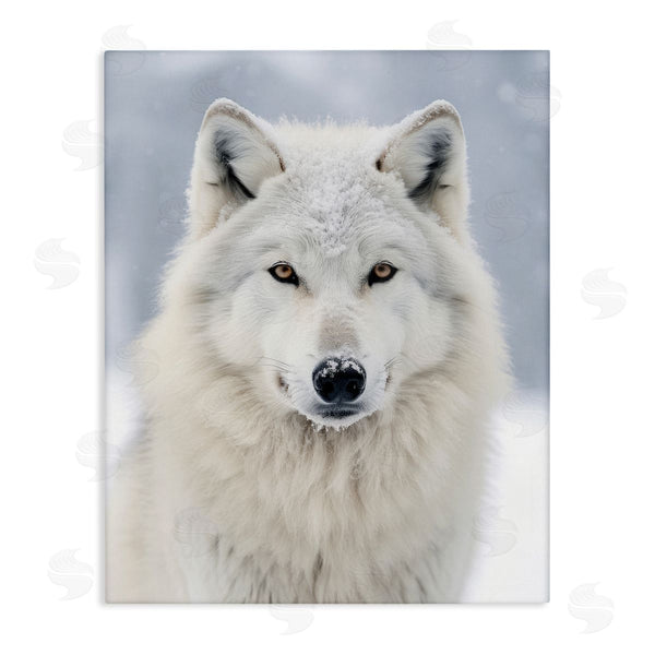 stupell industries Ray Powers | White Wolf in Snow Wall Art