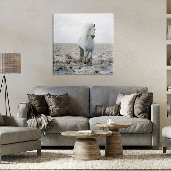 Stupell Industries Ray Powers | Windswept Beach Horse Wall Art