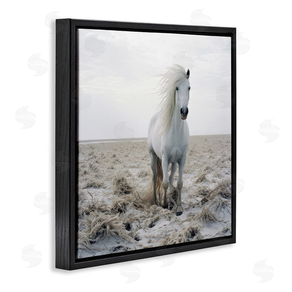 Stupell Industries Ray Powers | Windswept Beach Horse Wall Art