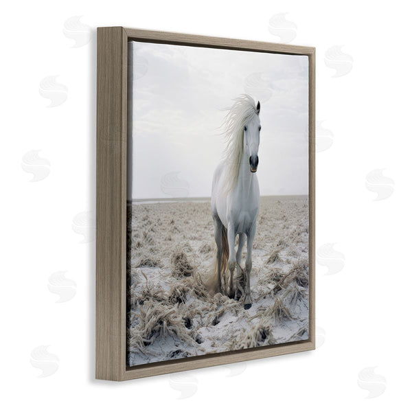 Stupell Industries Ray Powers | Windswept Beach Horse Wall Art