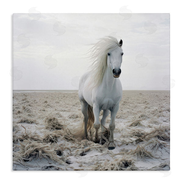 stupell industries Ray Powers | Windswept Beach Horse Wall Art