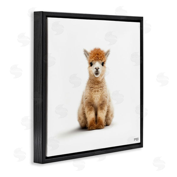 Stupell Industries RB | Baby Alpaca Portrait Wall Art