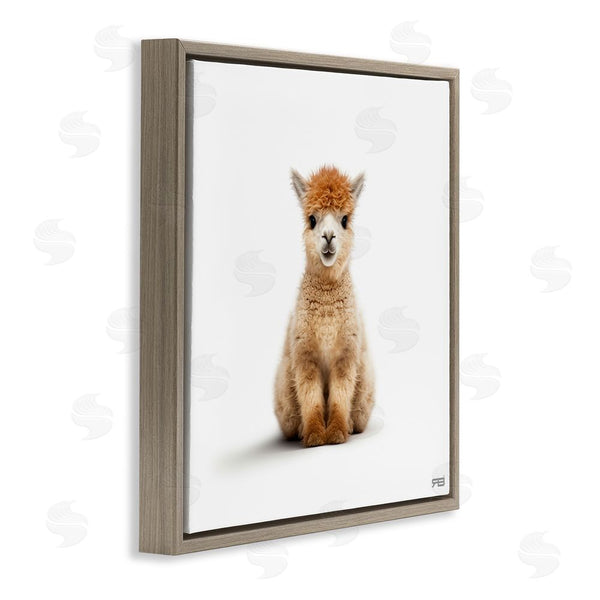 Stupell Industries RB | Baby Alpaca Portrait Wall Art