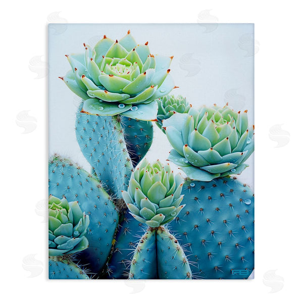 stupell industries RB | Cactus with Succulent Blooms Wall Art