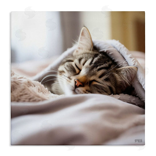 stupell industries RB | Cozy Sleeping Kitten Wall Art