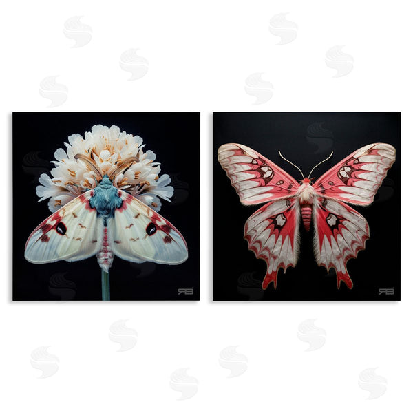 stupell industries RB | Detailed Pink Moths Flower Wall Art