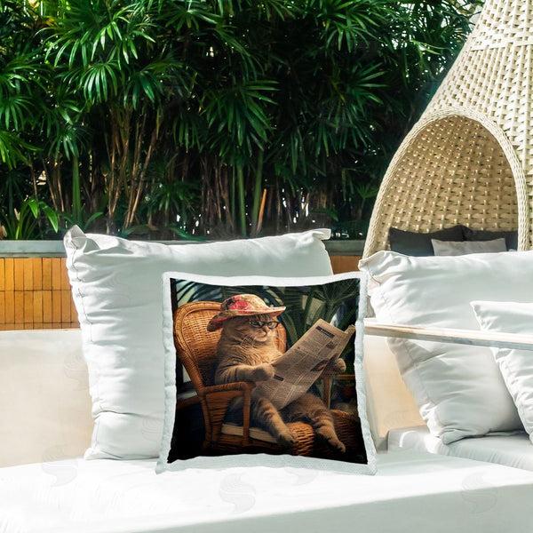 Stupell Industries RB | Funny Cat & Newspaper Printed Throw Pillow