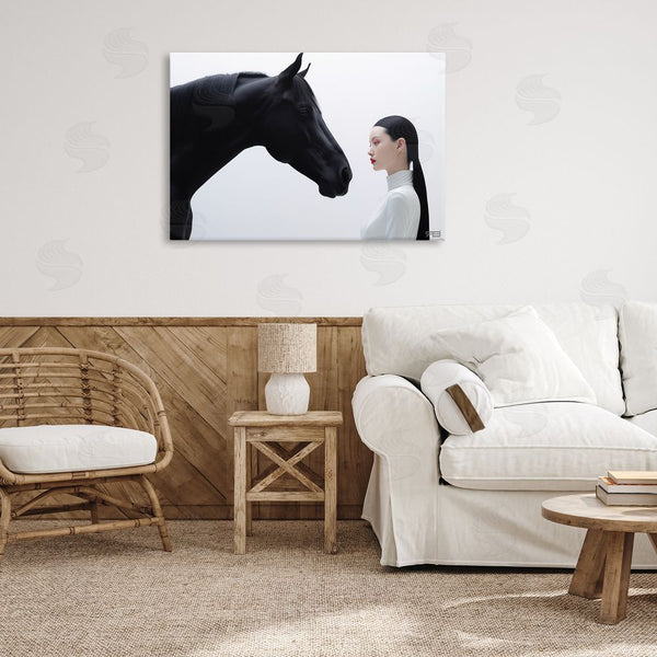 Stupell Industries RB | Sleek Black Horse & Girl Wall Art