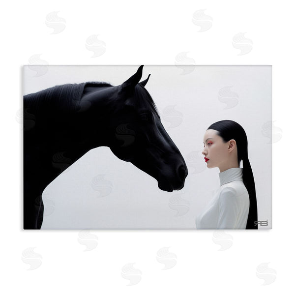 stupell industries RB | Sleek Black Horse & Girl Wall Art