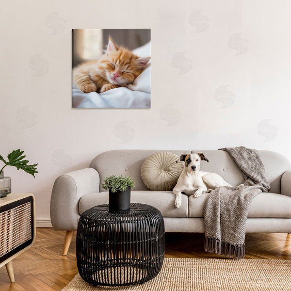 Stupell Industries RB | Sleeping Orange Kitten Wall Art