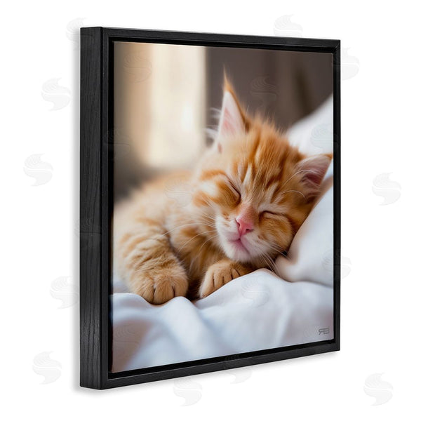 Stupell Industries RB | Sleeping Orange Kitten Wall Art