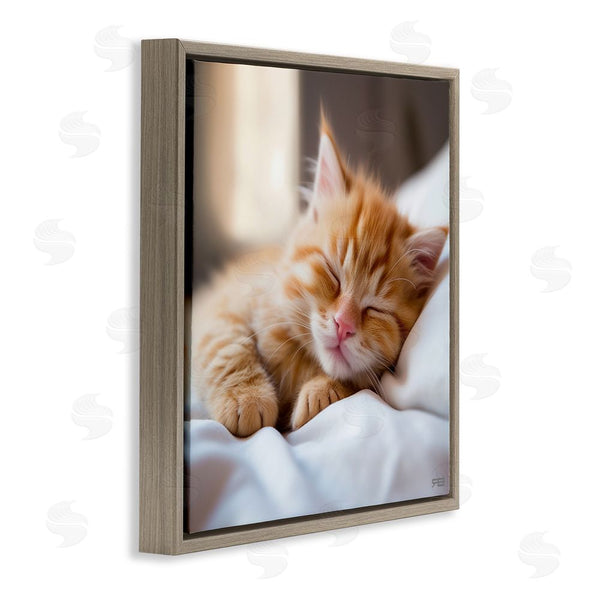 Stupell Industries RB | Sleeping Orange Kitten Wall Art