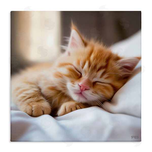 stupell industries RB | Sleeping Orange Kitten Wall Art