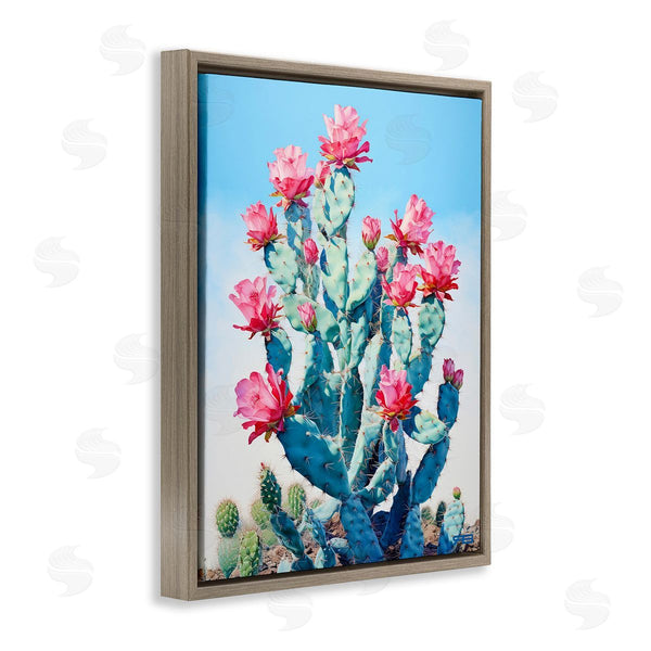 Stupell Industries RB | Southwestern Cactus Flowers Wall Art