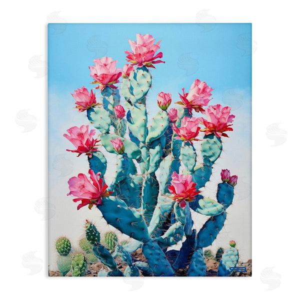 stupell industries RB | Southwestern Cactus Flowers Wall Art