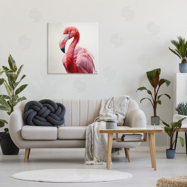 Stupell Industries RB | Traditional Flamingo Portrait Wall Art