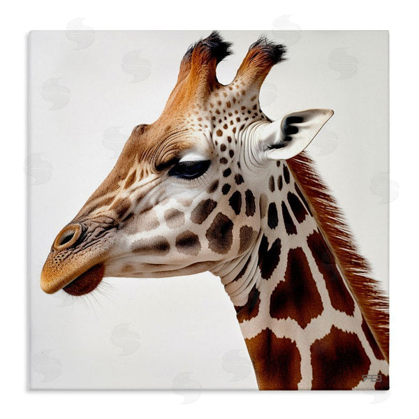 stupell industries RB | Traditional Giraffe Portrait Wall Art