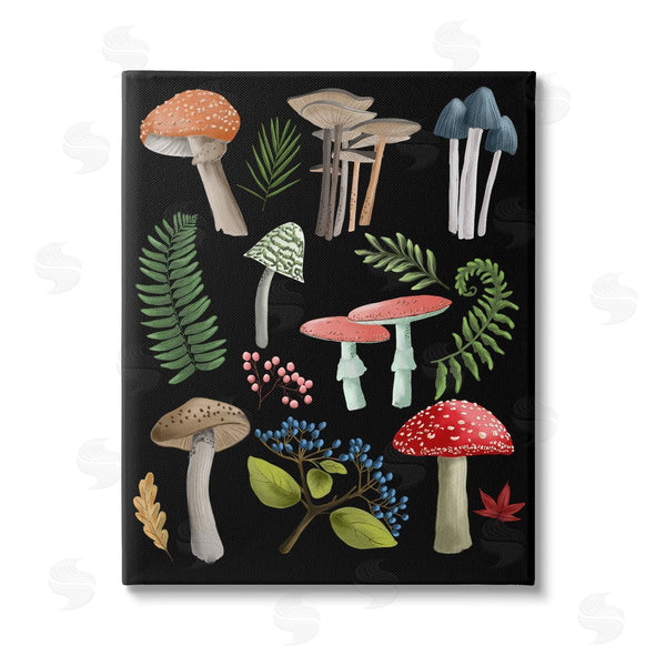 stupell industries Regina Moore | Woodland Botanicals on Black Wall Art