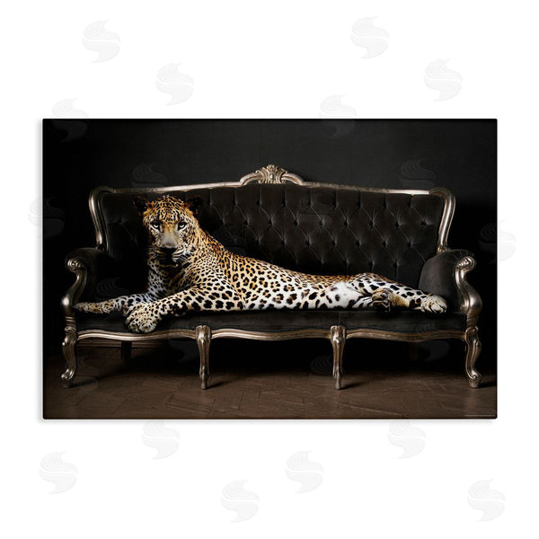 stupell industries Reinders | Cheetah Sprawled on Couch Wall Art