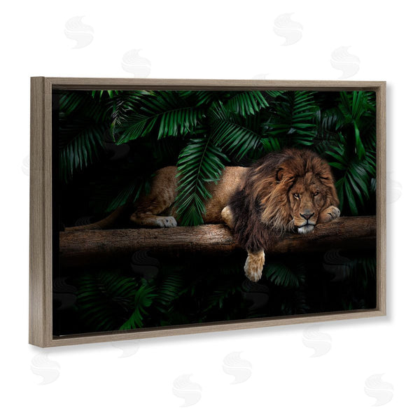 Stupell Industries Reinders | Lion On Tropical Branch Wall Art