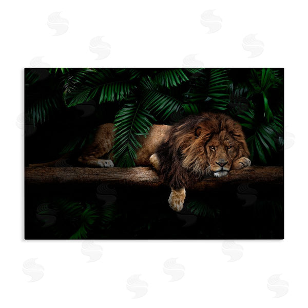 stupell industries Reinders | Lion on Tropical Branch Wall Art