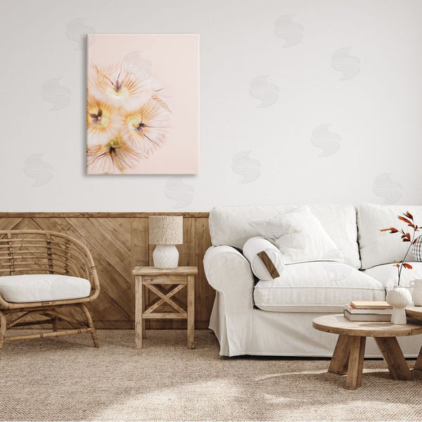 Stupell Industries Renee W. Stramel | Unique Florals Blooming Bleach Blonde Petals Abstract Photography Wall Art
