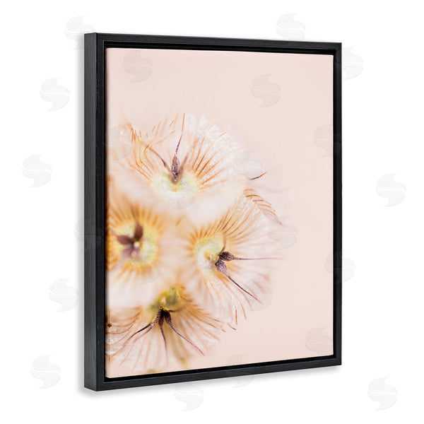 Stupell Industries Renee W. Stramel | Unique Florals Blooming Bleach Blonde Petals Abstract Photography Wall Art