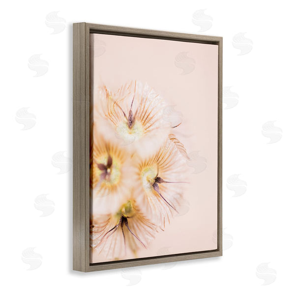 Stupell Industries Renee W. Stramel | Unique Florals Blooming Bleach Blonde Petals Abstract Photography Wall Art