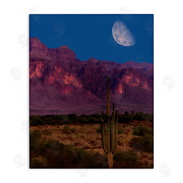 stupell industries Renel Peters | Cactus In The Mountains