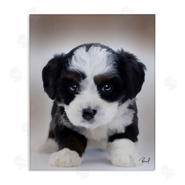 stupell industries Renel Peters | Fluffy Bernedoodle Puppy