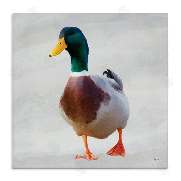 stupell industries Renel Peters | Mallard Duck Squawking