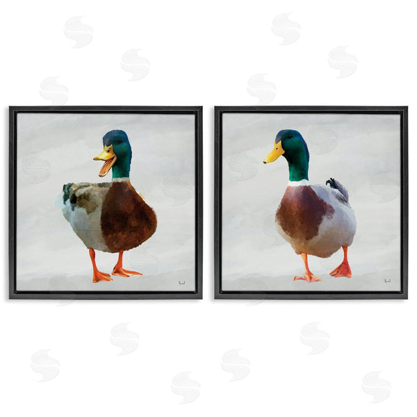 Stupell Industries Renel Peters | Pair Of Squawking Ducks