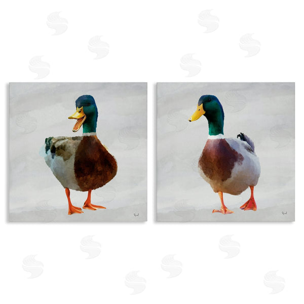 stupell industries Renel Peters | Pair of Squawking Ducks