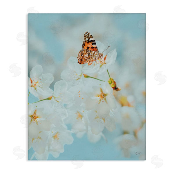 stupell industries Renel Peters | Pale Blossoms and Butterfly