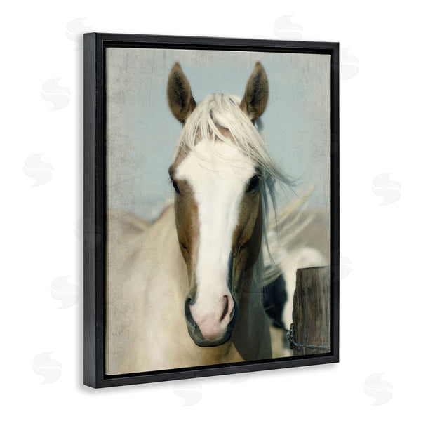 Stupell Industries Rhonda Addison | Horse At Rustic Fence Wall Art