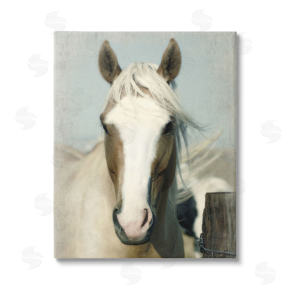 stupell industries Rhonda Addison | Horse at Rustic Fence Wall Art