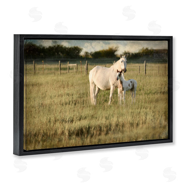 Stupell Industries Rhonda Addison | Rural Horse And Foal