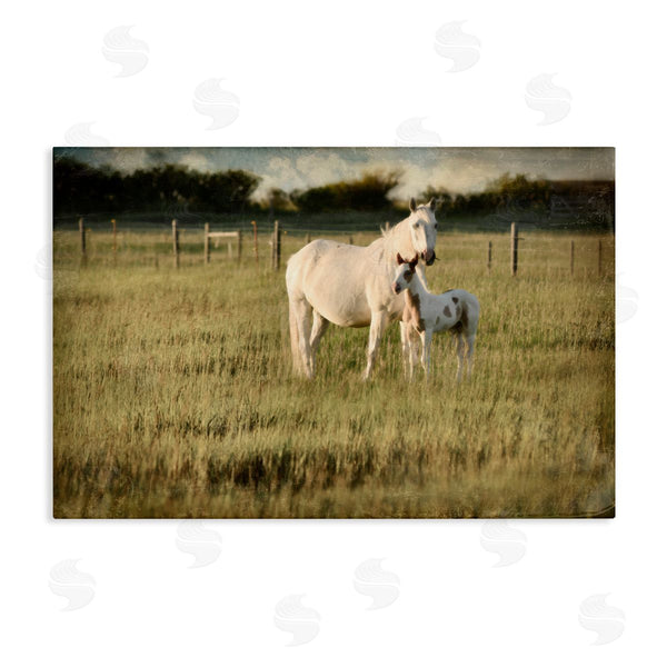 stupell industries Rhonda Addison | Rural Horse and Foal